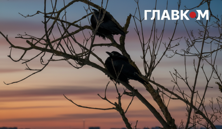 Збій моніторингу повітря в Києві