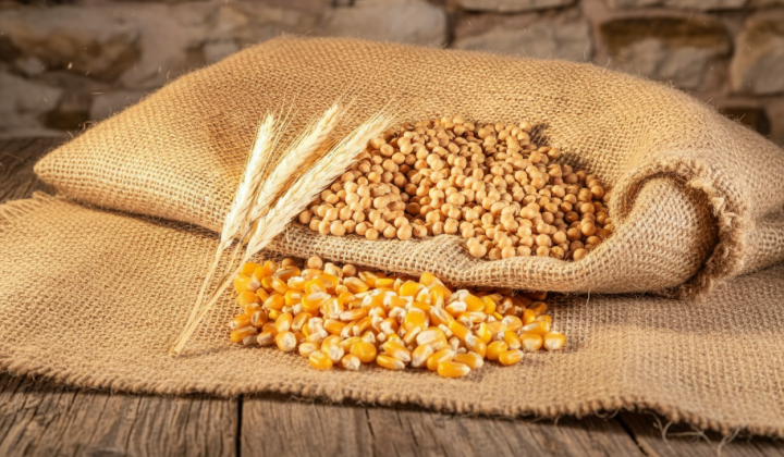 Government budget supports agrarians in 2025