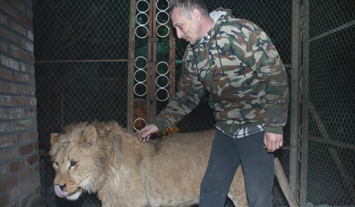 Court image, verdict, head of Animal Protection