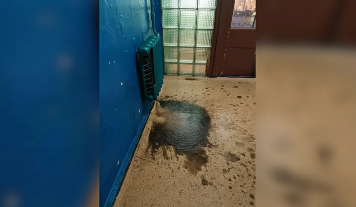 Замерзло 1100 будинків у Києві