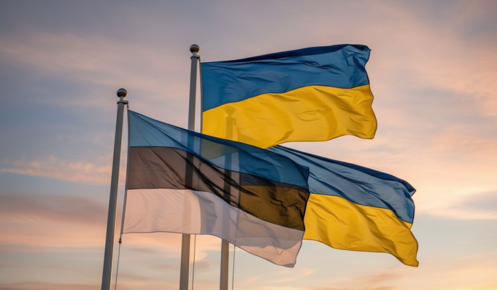 Помощь Украине: генераторы и пушки