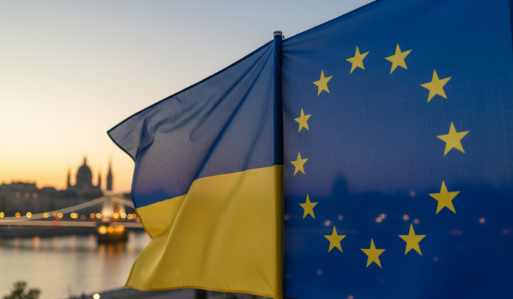 Ukraine's rights in the EU: membership options