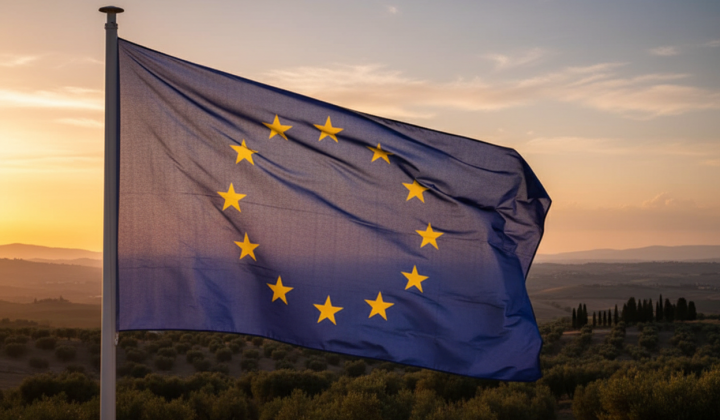 Military goods from EU go to Russia through third countries