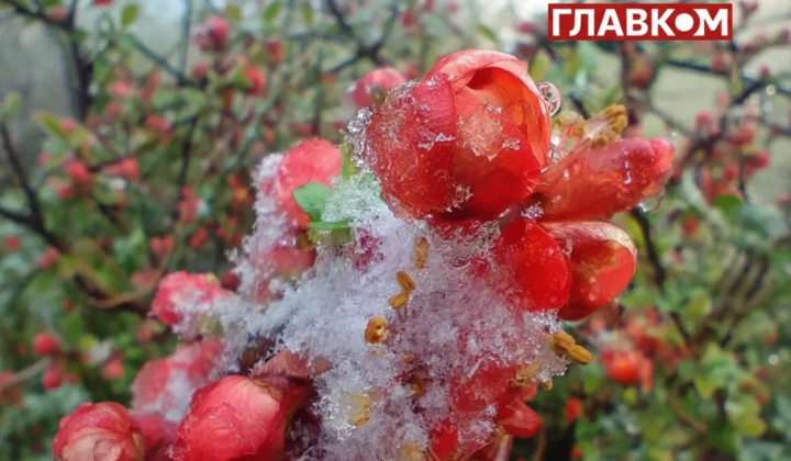 Прогноз погоди на наступний тиждень