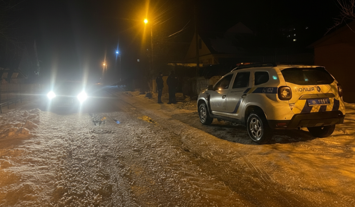 Полиция ищет организаторов салюта в Белой Церкви