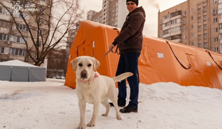 Houses in Kyiv without heating