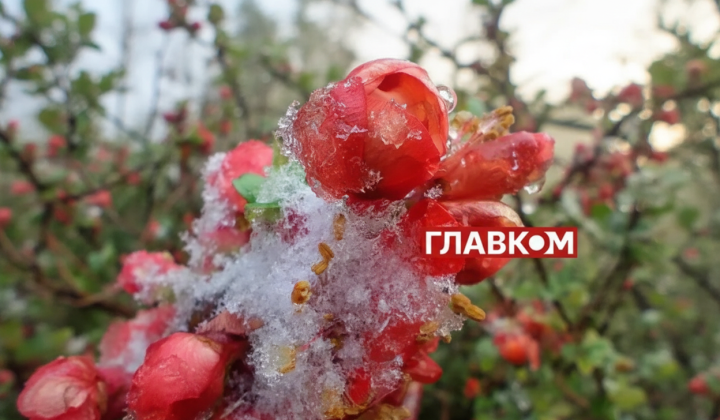 Антициклон принесе суху погоду у березні