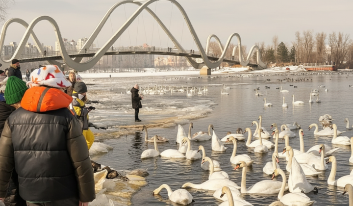 Солнечная погода без осадков