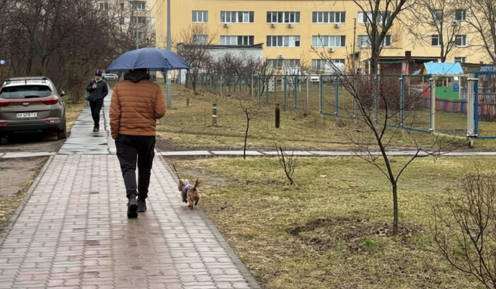 Rainy Monday in Kyiv: how weather will affect roads and municipal works