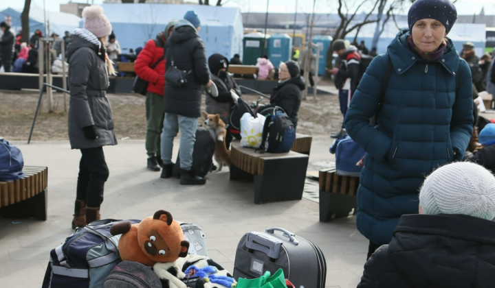 Украинцы и цифровые паспорта Чехии