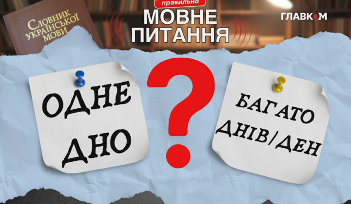 Філологиня пояснює правила утворення форми множини слова 'дно'