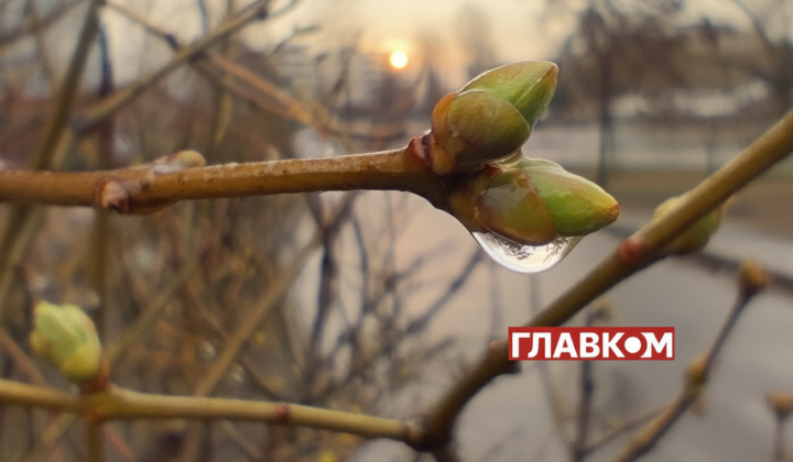Прогноз погоды на 26 марта: ожидается дождь