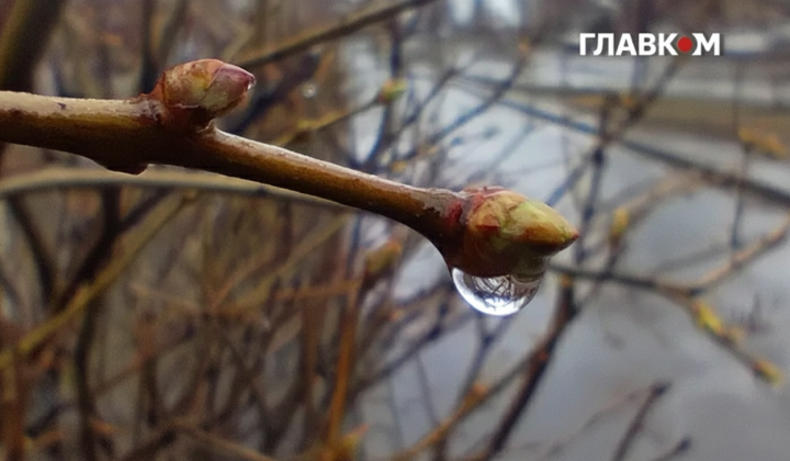 Погода на 31 марта: дождь и ветер