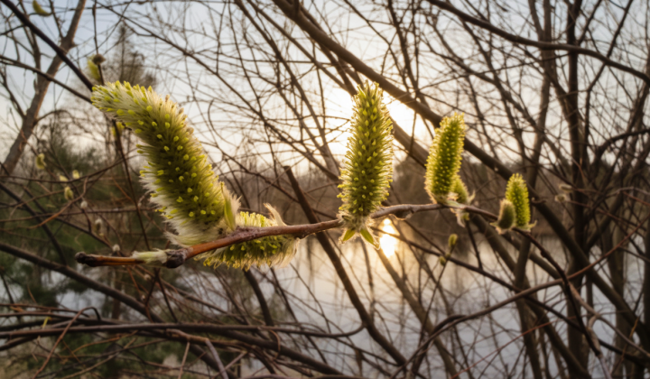 Weather forecast for April 2026