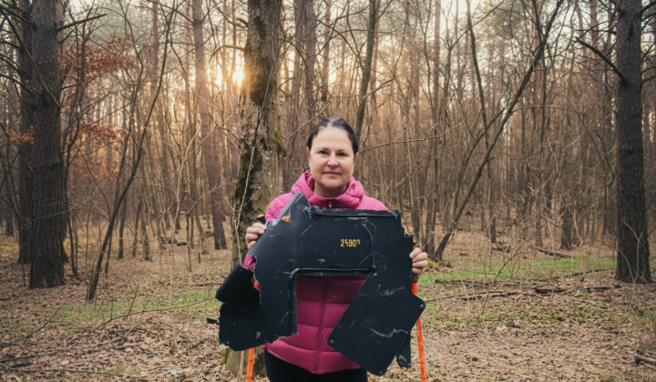 EU Ambassador in Kyiv region forest