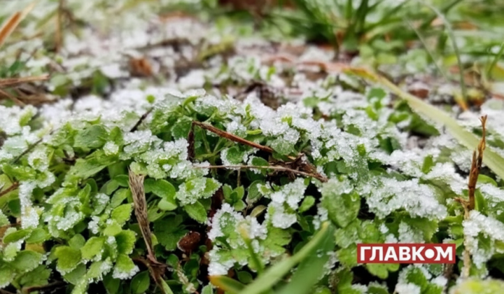 Нічні заморозки в Києві 7-9 квітня