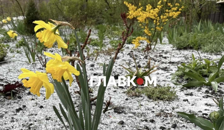 Квітнева злива та заморозки в Києві