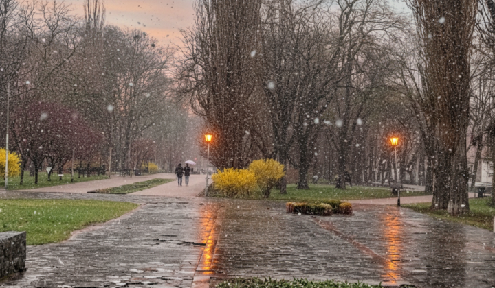 Квітневий сніг та заморозки у Києві