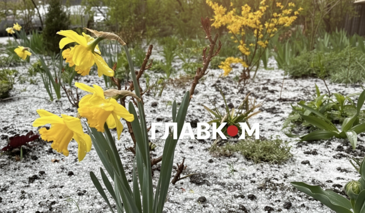 Заморозки 14 квітня: області під загрозою