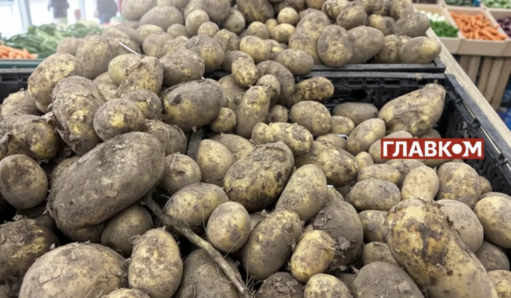 Картошка на фоне свежих овощей