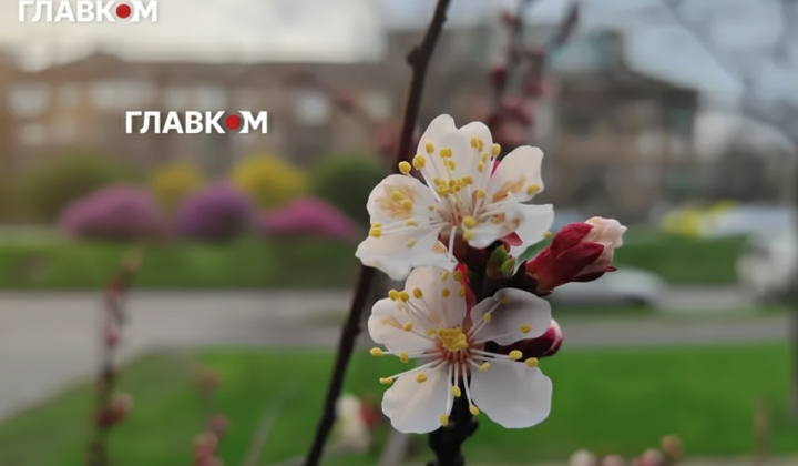 Прогноз погоди на 16 квітня