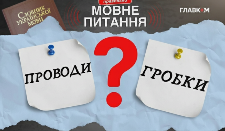 Philologist explains absence of words in dictionary