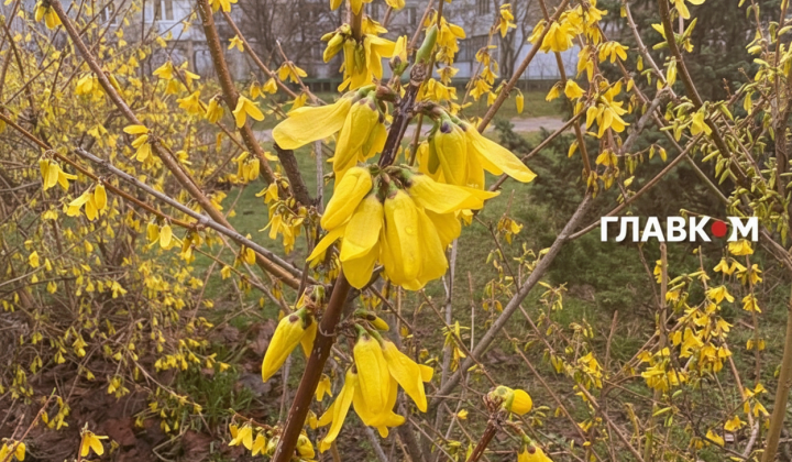 Прогноз погоды на 19 апреля: заморозки ночью