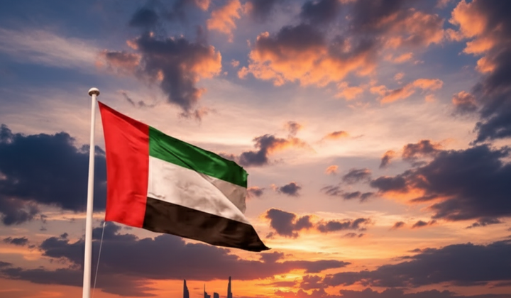 UAE seeks financial support from USA