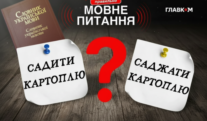 Філологиня пояснює різницю між словами