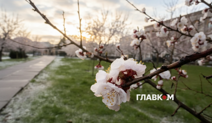 Прогноз погоды: заморозки и дожди