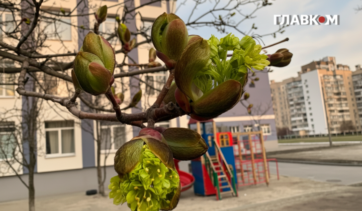 Weather on April 21: strong wind, frost, and magnetic storm