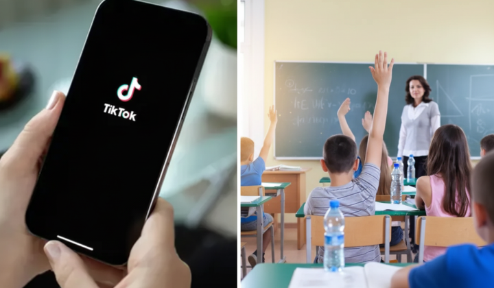 Volodin accuses Ukraine in TikTok trend