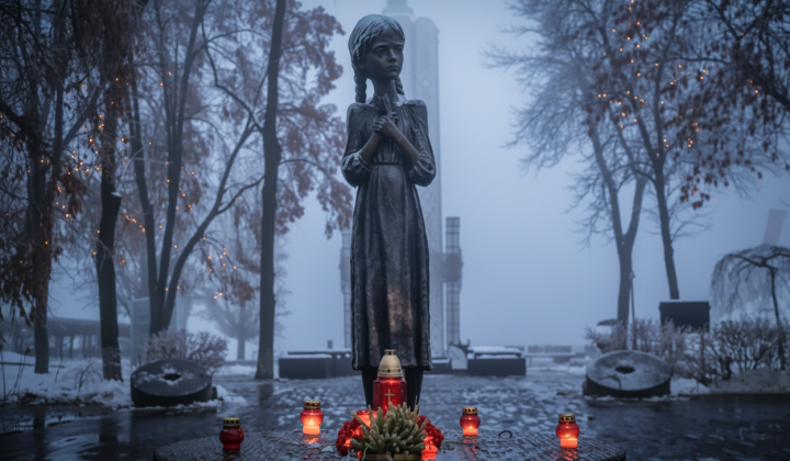 Ув'язнення за заперечення Голодомору в Раді