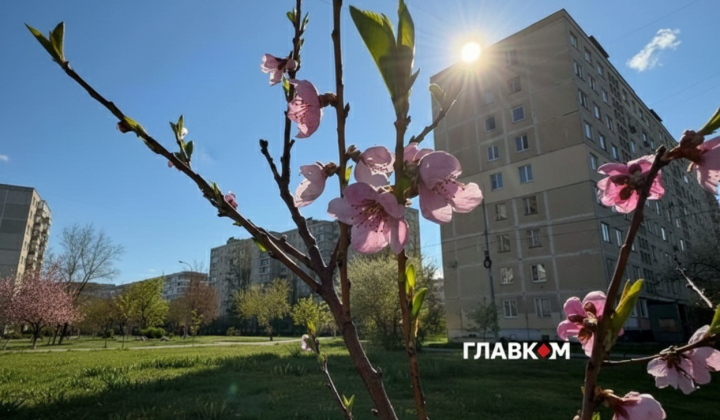 Заморозки украинских фруктов 28-30 апреля