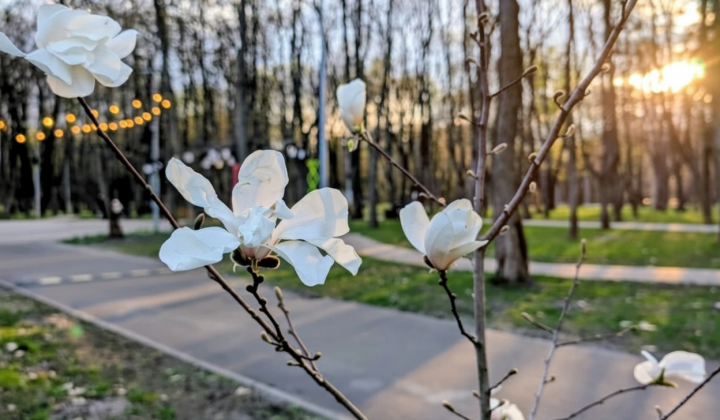 Прогноз погоды на 30 апреля: заморозки и дожди