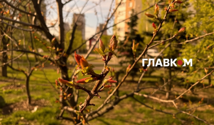 Прогноз погоды на 3 мая