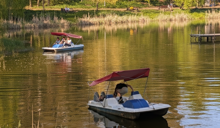 Люди в прохладной воде на пляже