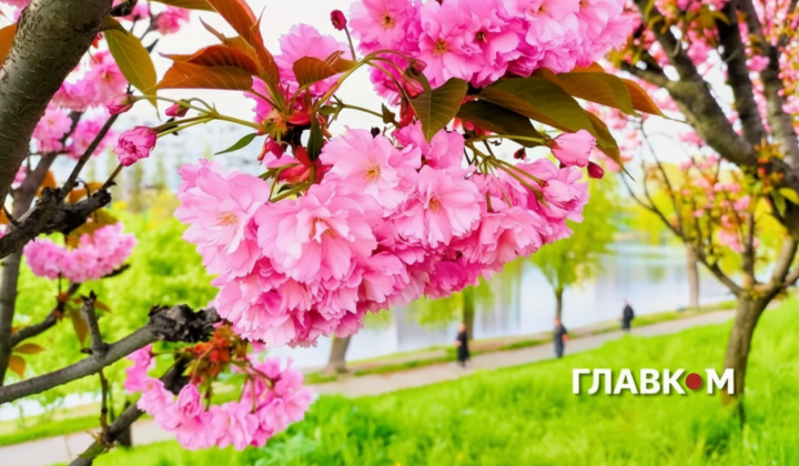 Прогноз погоди на 6 травня