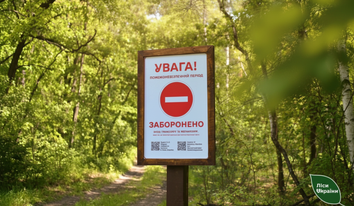 Киевлянам запрещено посещать леса из-за пожарной угрозы