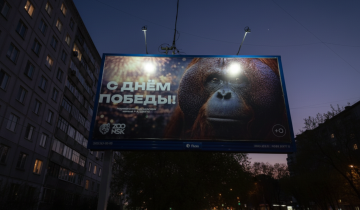 Баннер с орангутаном восстановили в Новосибирске