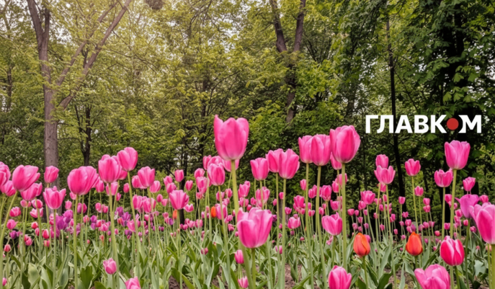 Небезпека пожежі та грози під час дощів