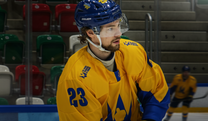 Ukraine in top division of hockey
