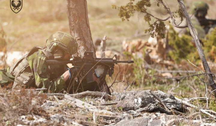 Ліквідація окупантів на Покровському напрямку