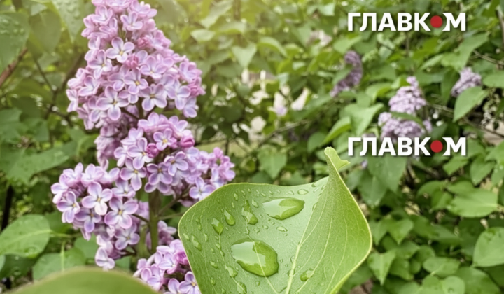 Прогноз на 11 травня від Укргідрометцентру
