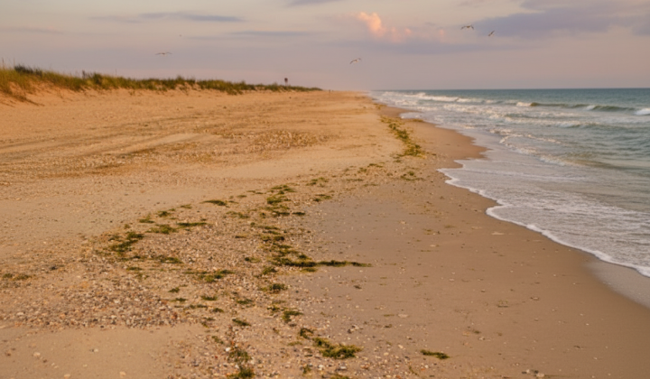 Oil spill in Odessa reserve