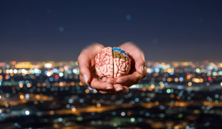 Molecule of acid for brain health