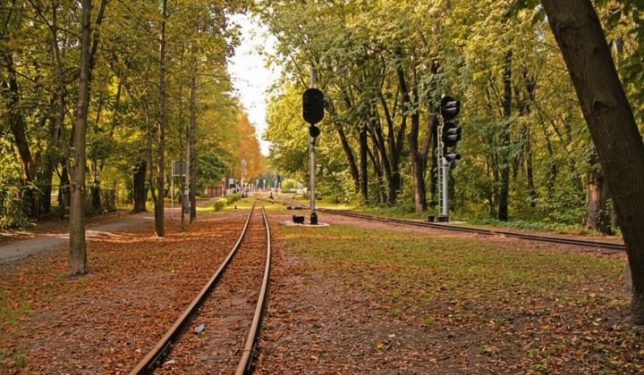 Киевская прокуратура подает в суд на власть города через Сырецкий лес