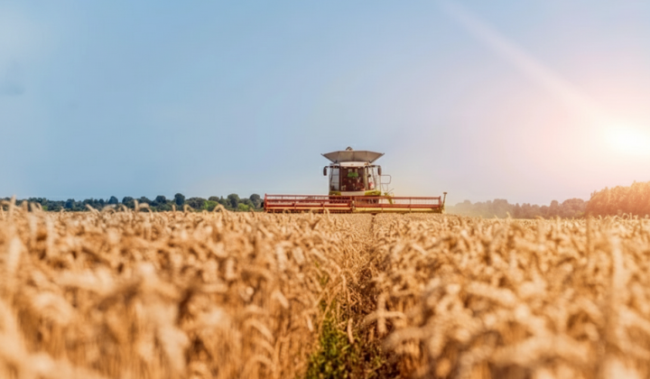 Ukrainian record grain harvest in 2026