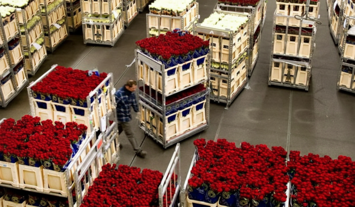 Ban on importing flowers from Armenia