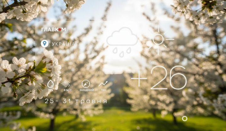 Погода в Украине: жара до +32°C